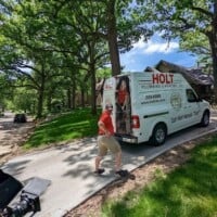 Holt