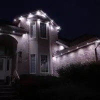 JellyFish Lighting - DSC06010